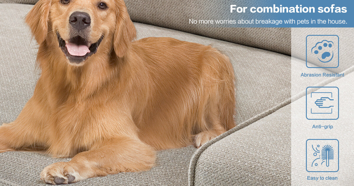 A_dog_happily_sprawled_on_the_beige_fabric_sofa