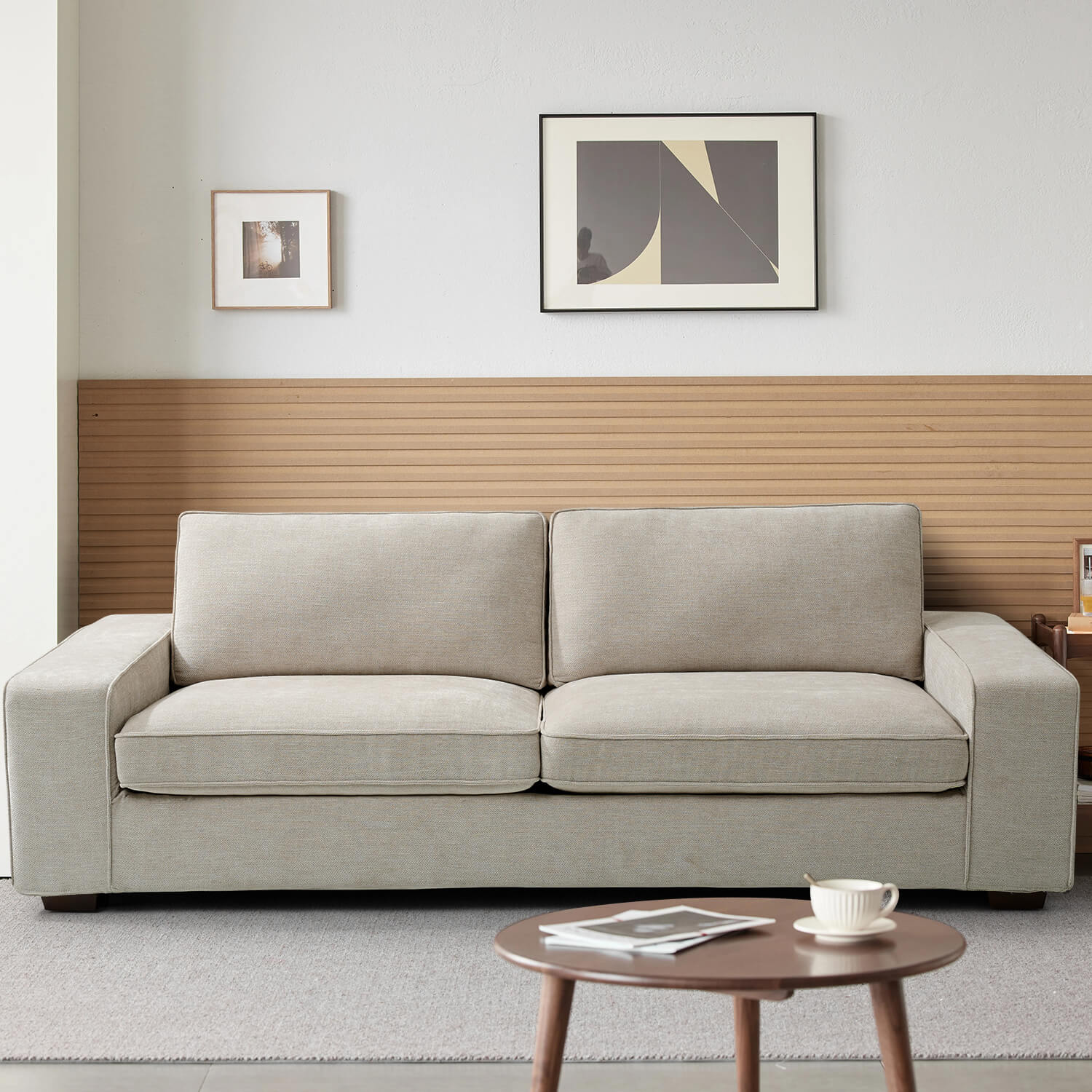 Modern Sofas Couches for Living Room Beige