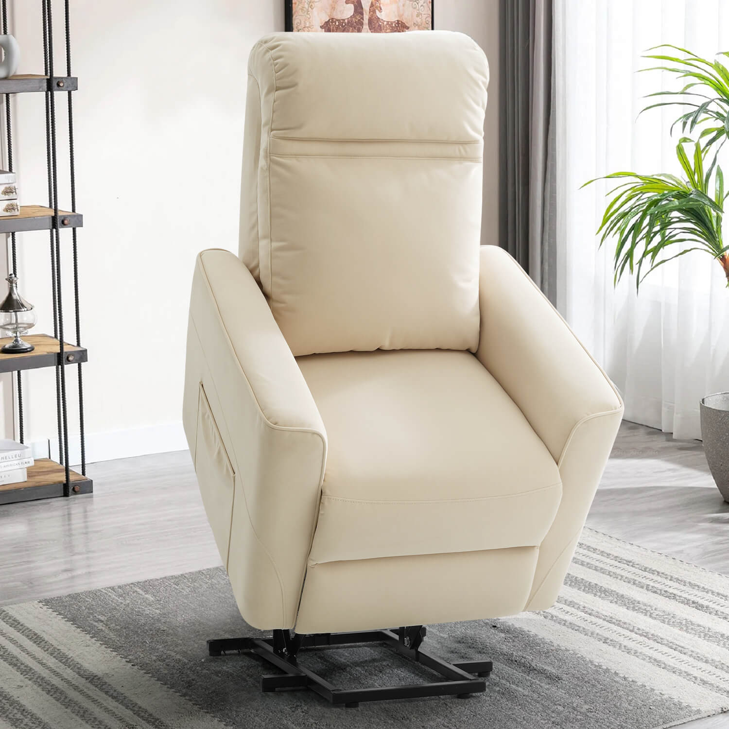 Power Lift Recliner Chair with Kneading Massage, Removable Backrest